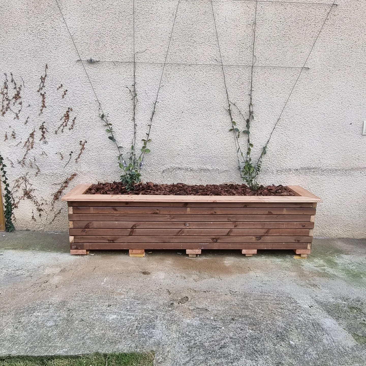 WhatsApp Image 2026 03 22 at 19.04.09 (4)